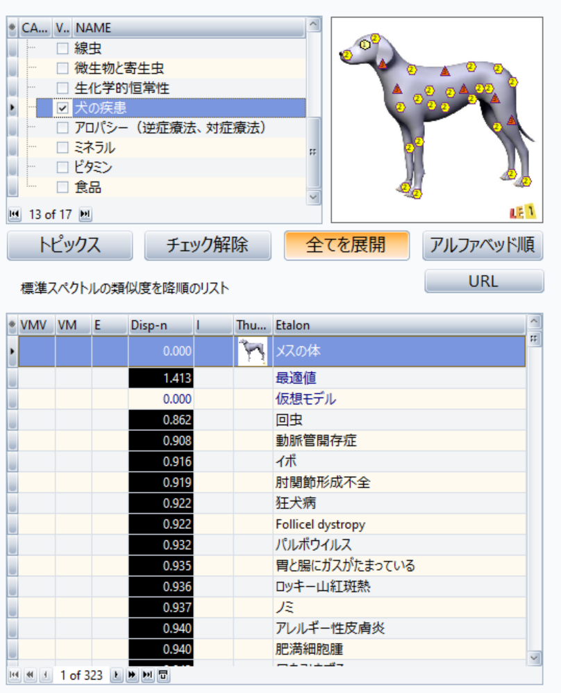 OB-dog-インスタ3